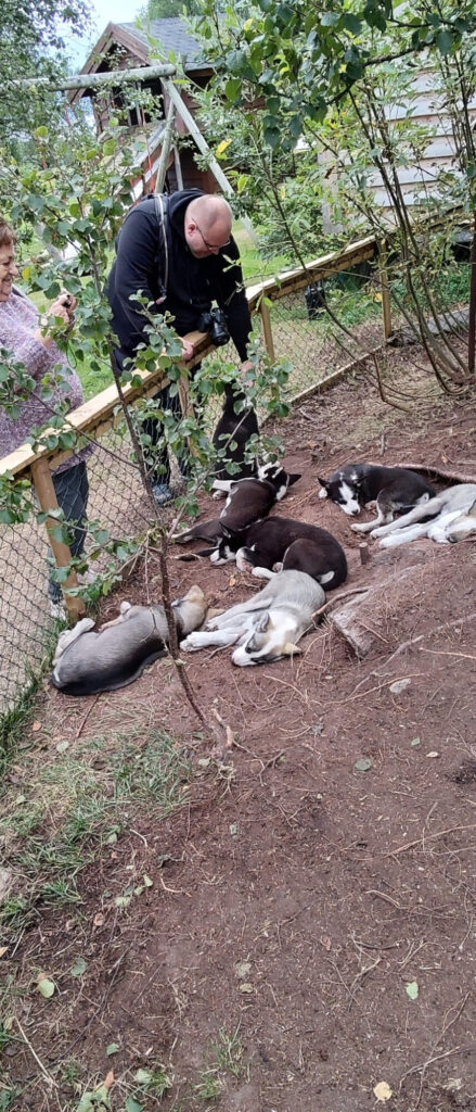 Husky miminka při odpočinku