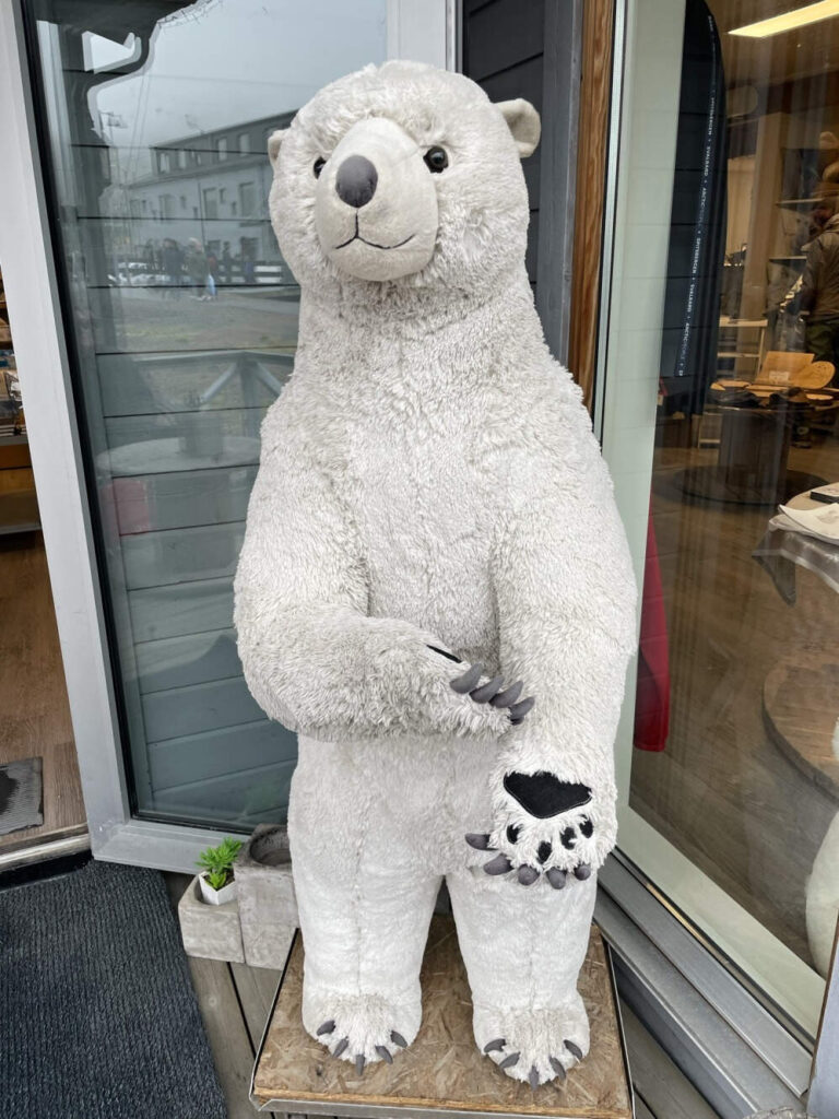Svalbard medvěd