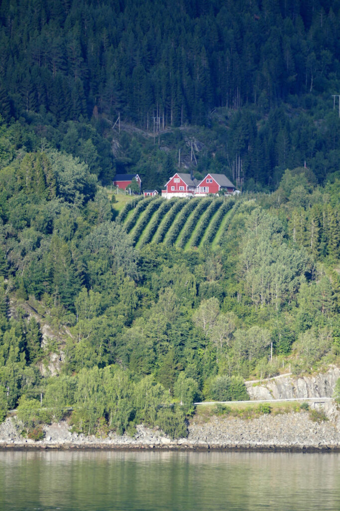 Olden farma