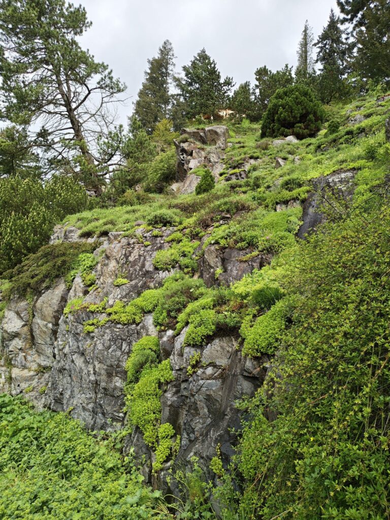 A další skalka