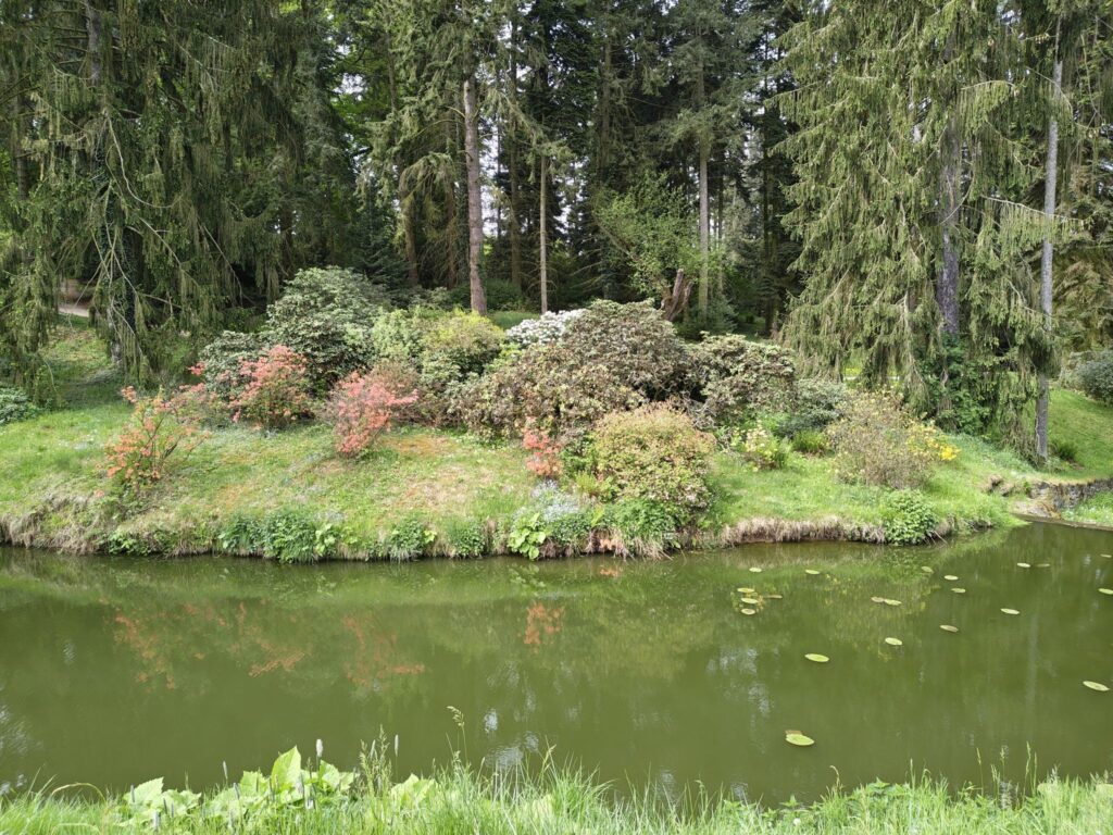 Břeh