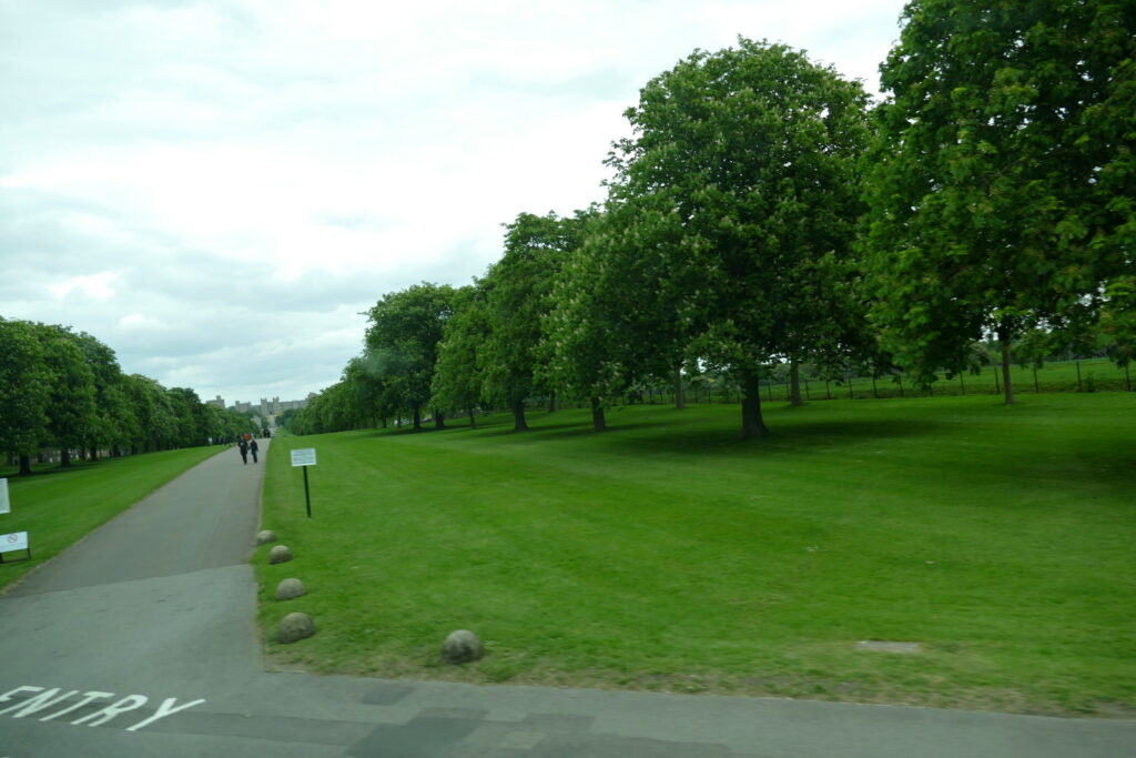 Park