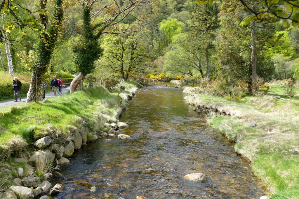 Říčka v Glendalough