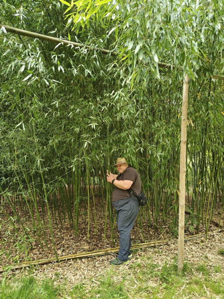 Trénink na pandu