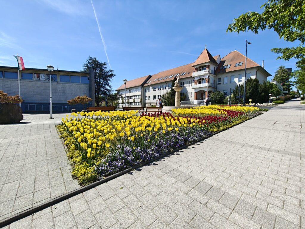 Tulipánky na náměstí