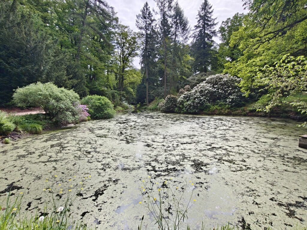 Žabincové jezero