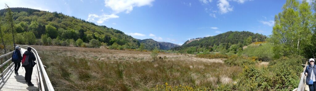 panorama