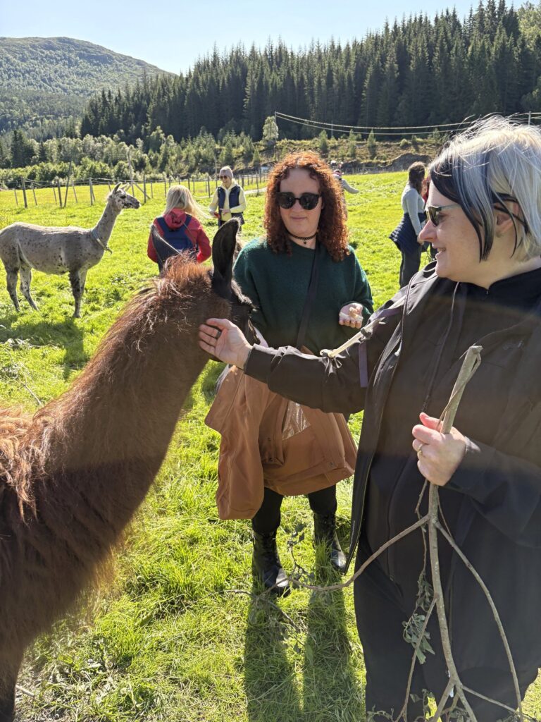 Drbací lama