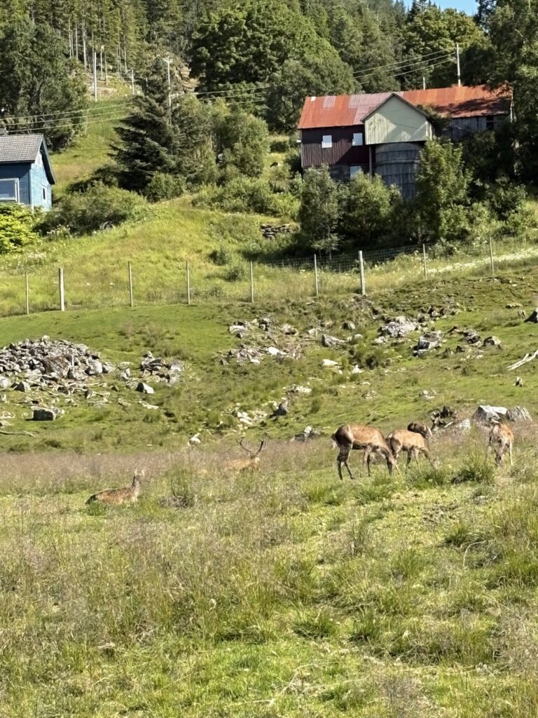 Hledej Větrníka