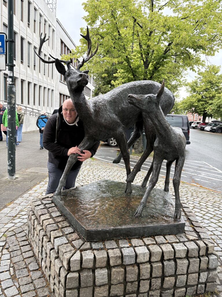 Řidič krade zvířátka